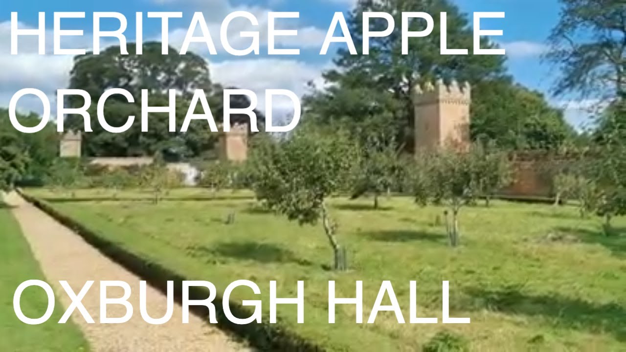 Heritage Apple Orchard Oxburgh Hall Norfolk
