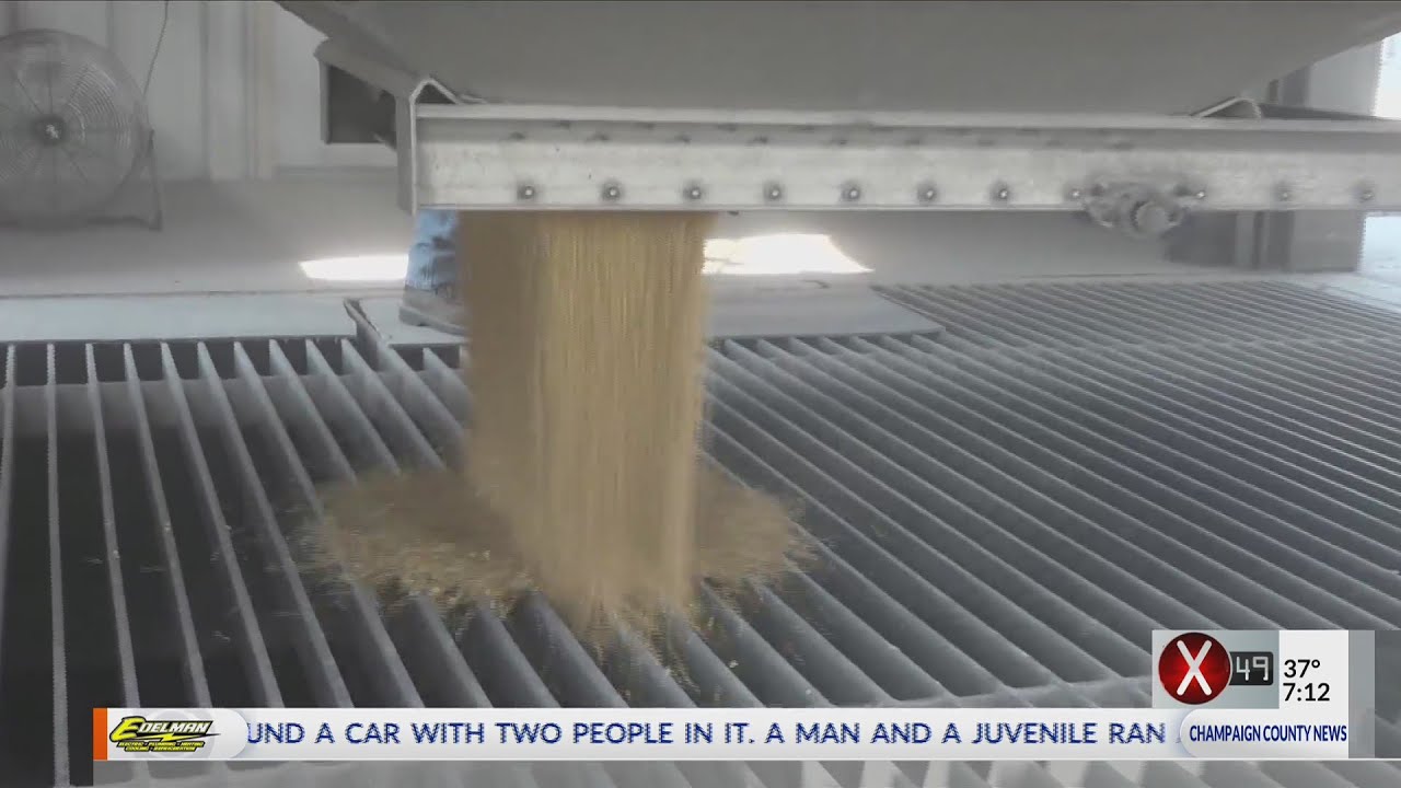 From the Farm: Rising grain prices