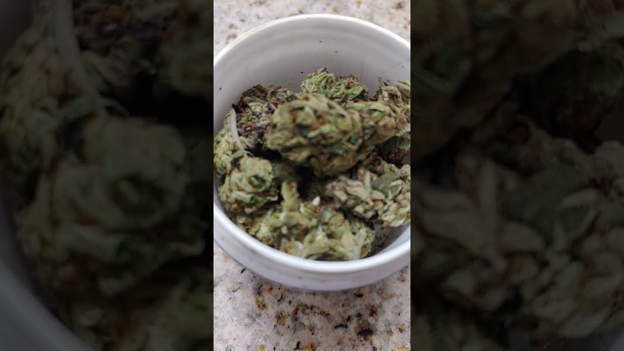 Venom OG Kush Strain Review