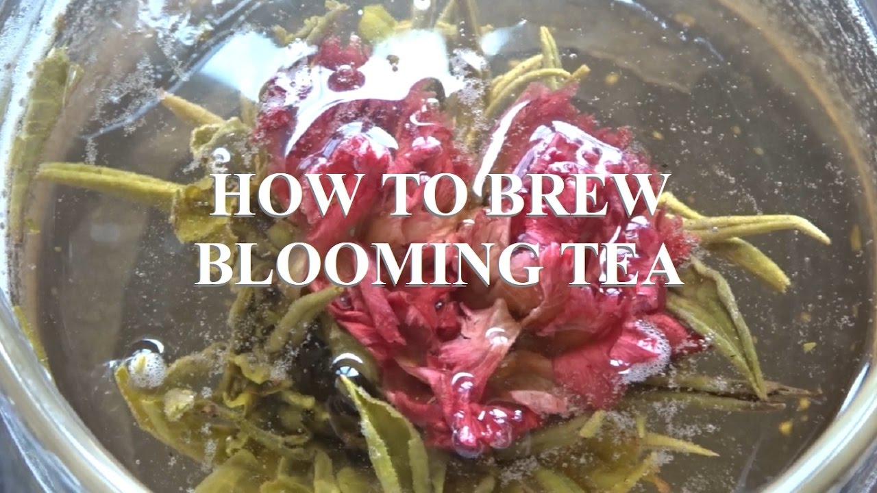 Как заварить цветочный чай 🌸 Teabloom
