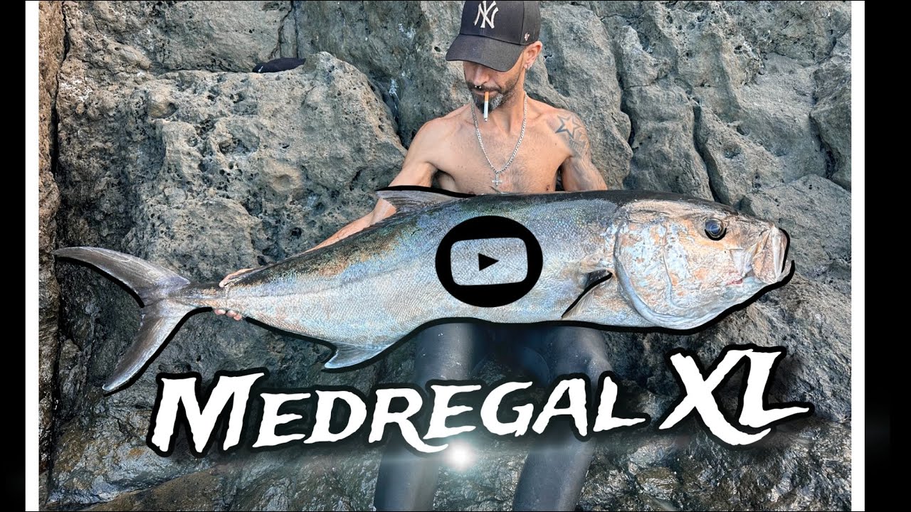 🔥Pesca en Canarias🔥Pesca Extrema/ Tenerife🇮🇨 Medregal desde costa🎣💥 #pesca #fishing #fish #bigfish
