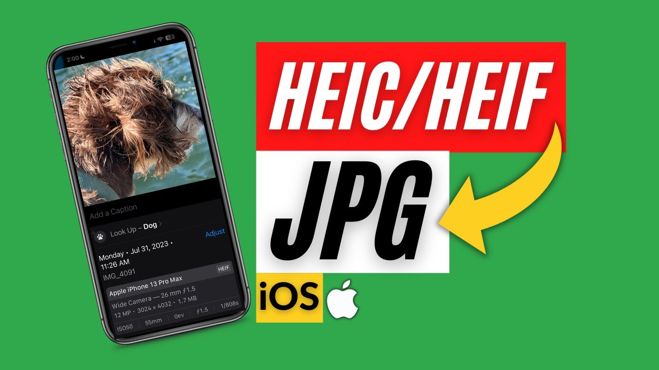 Как конвертировать HEIC в JPG на iPhone