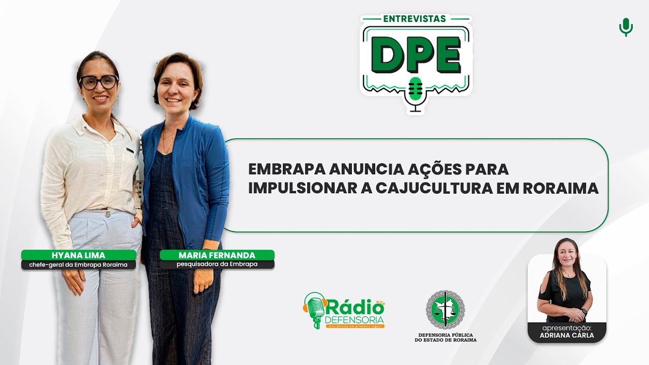 Embrapa com ações impulsionando a cajucultura e agricultura familiar em RR - Entrevista DPE