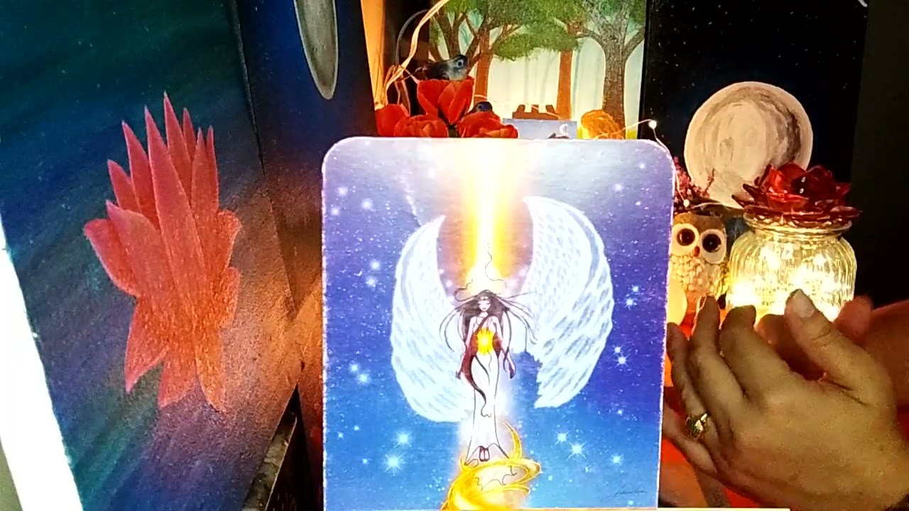 🔮TOURO♉🌼Uma conexão destinada! Compartilham sonhos! Novo amor! Ótima notícia!🔮