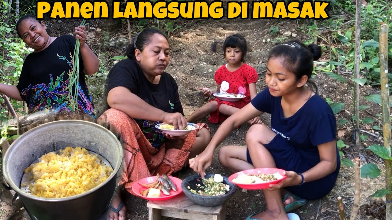 BANUNG PANEN KACANG LANGSUNG DI GAWE SAMBAL || MADANG KAEO SEGO JAGUNG