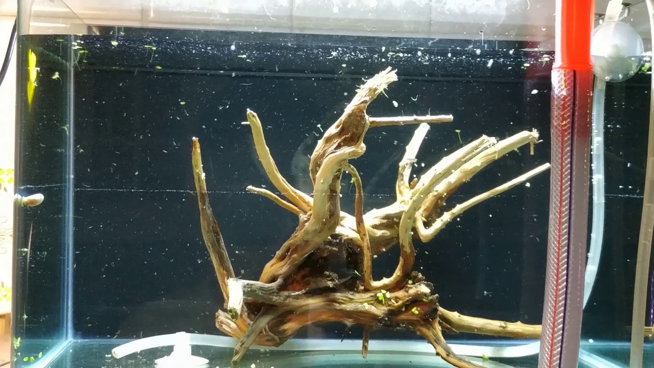 Aquascaping tutorial for beginners Step by Step - PREVIEW