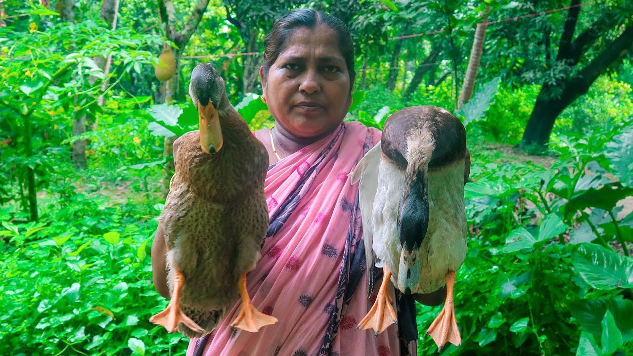 Village Cooking: Duck Curry Cooking and Rice Roti Making Recipe by Village Food Life