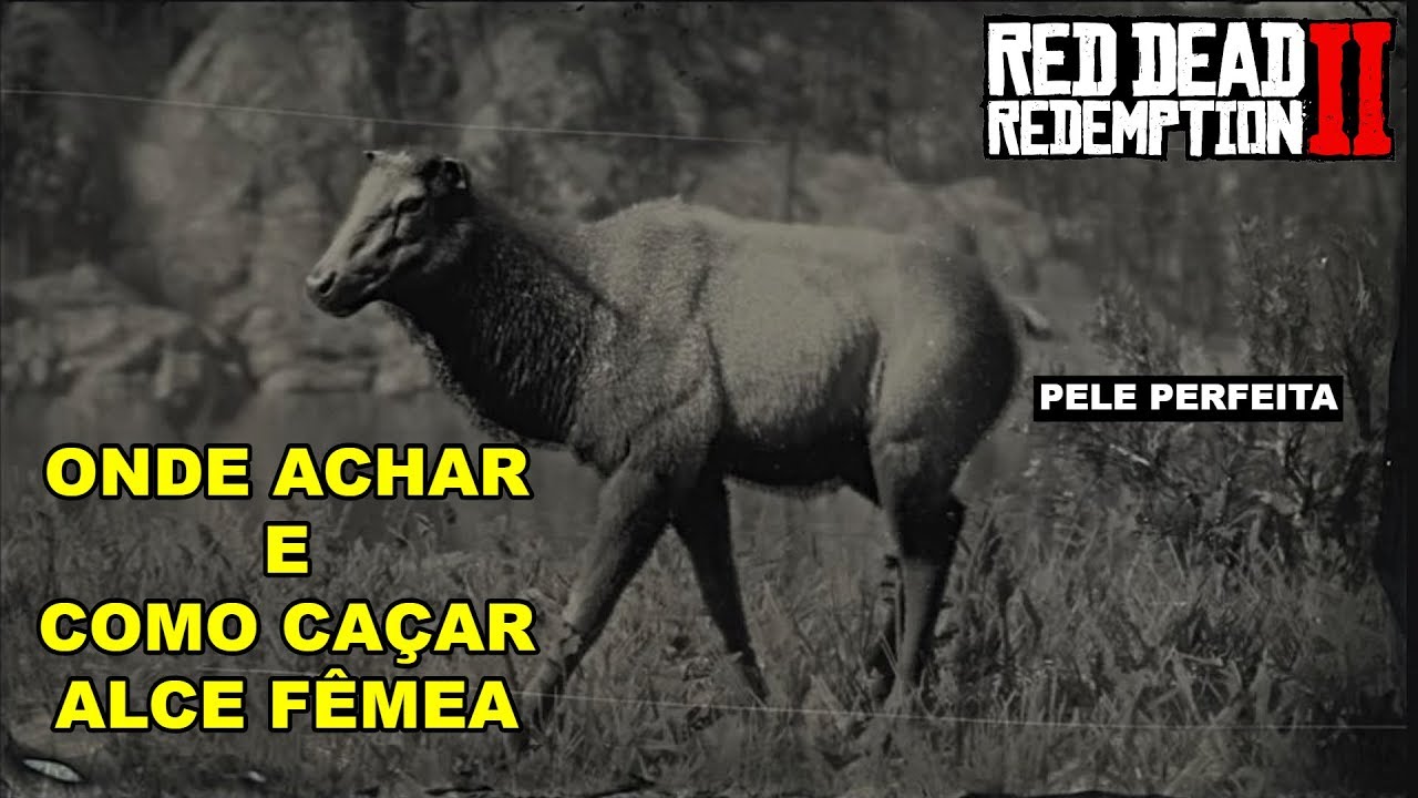 O MELHOR MÉTODO PARA CAÇAR ALCE FÊMEA - Red Dead Redemption 2 (Guia Completo)