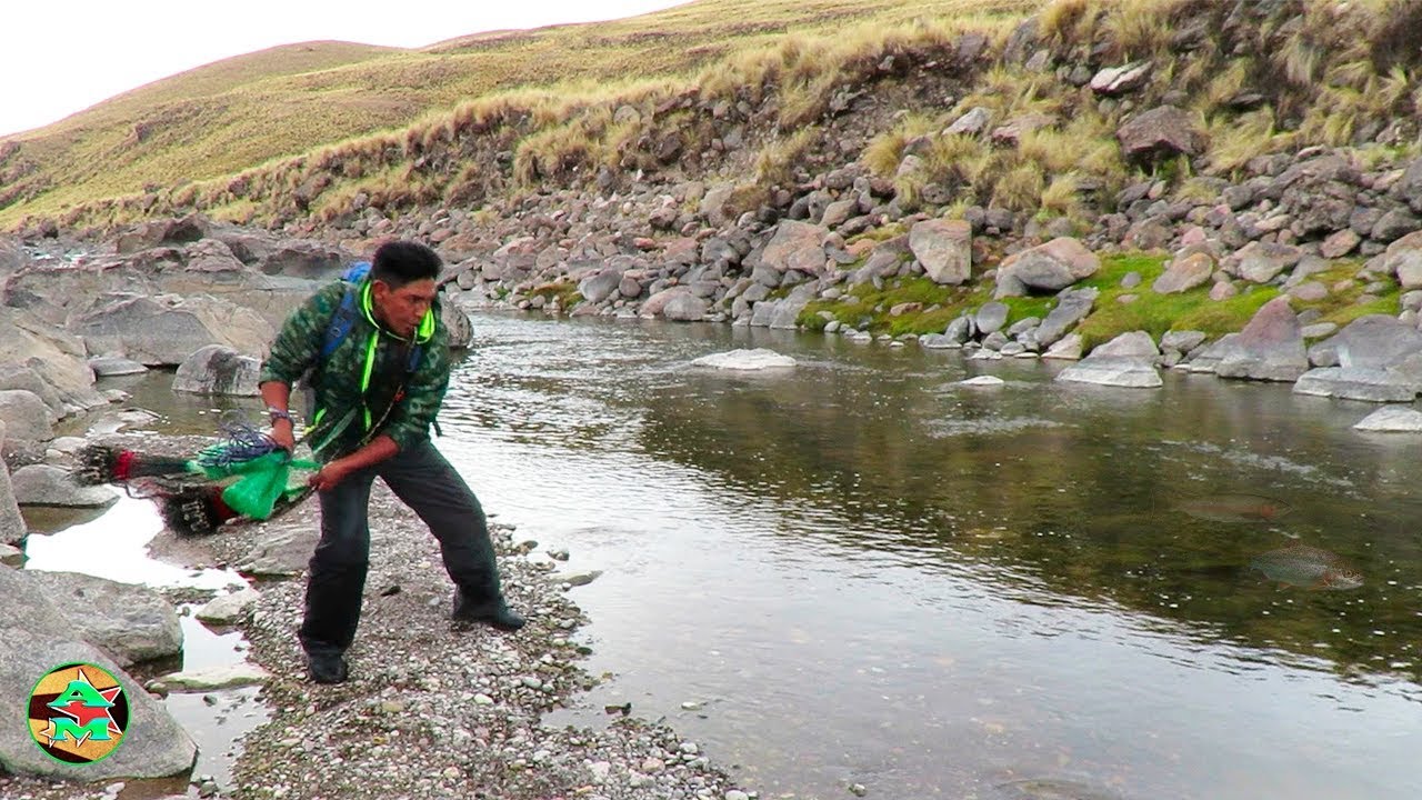 Pescador PESCA TRUCHAS DE R&Iacute;O - Pescando TRUCHAS CON ATARRAYA