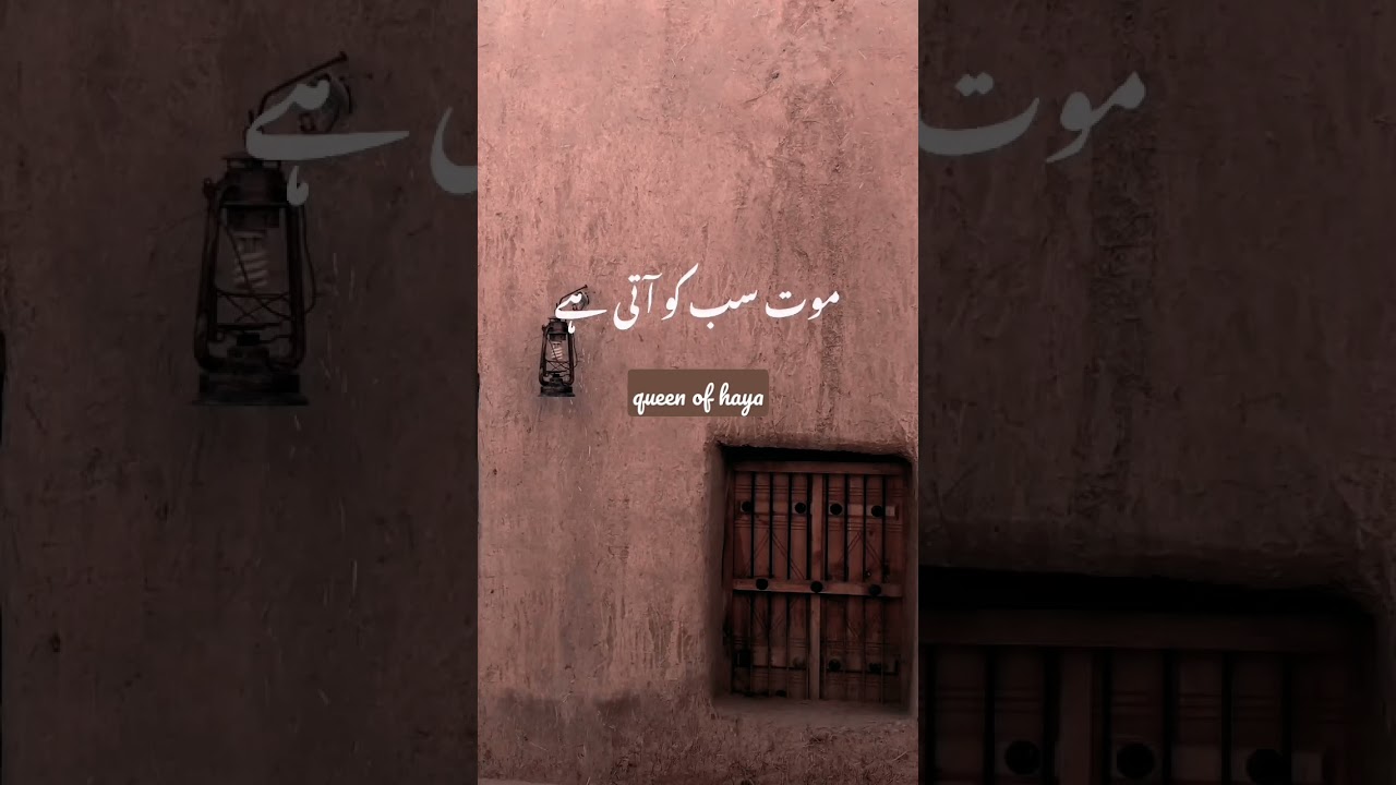 Shukr hai ki maut sabko aati hai🖤 | urdu poetry | Islamic poetry status | queen of haya |