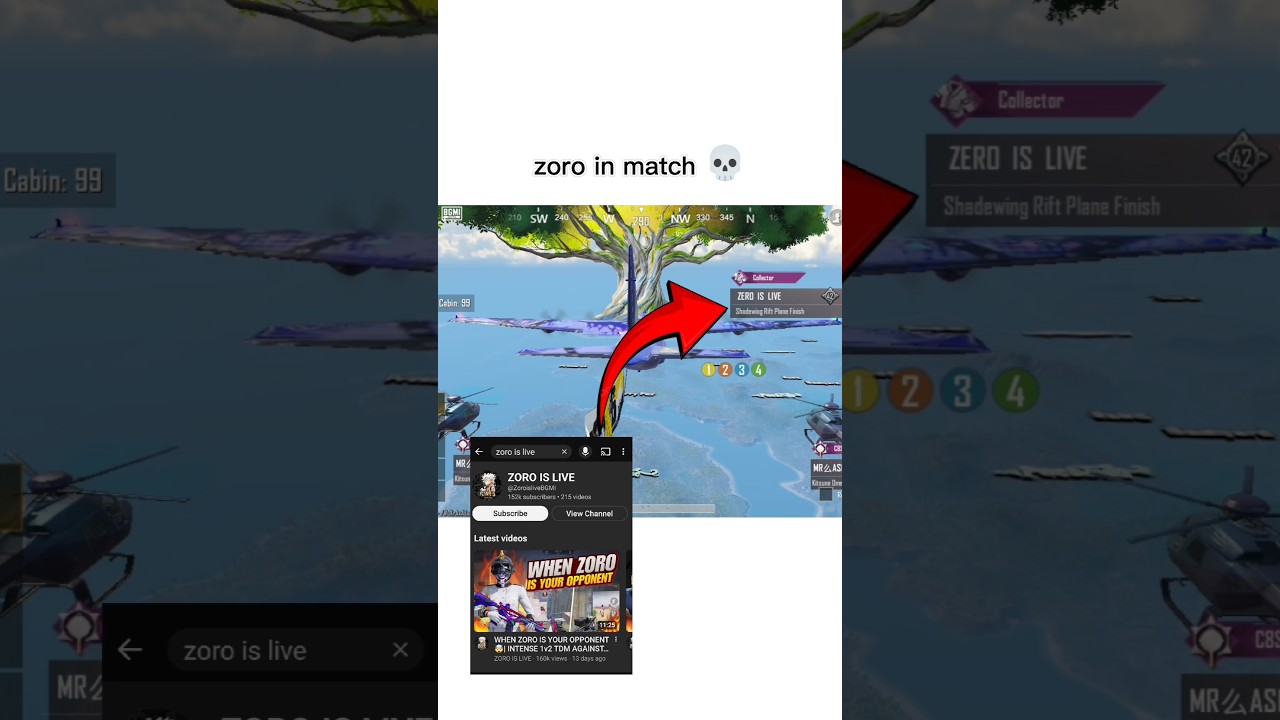 zoro is live 💀in match 