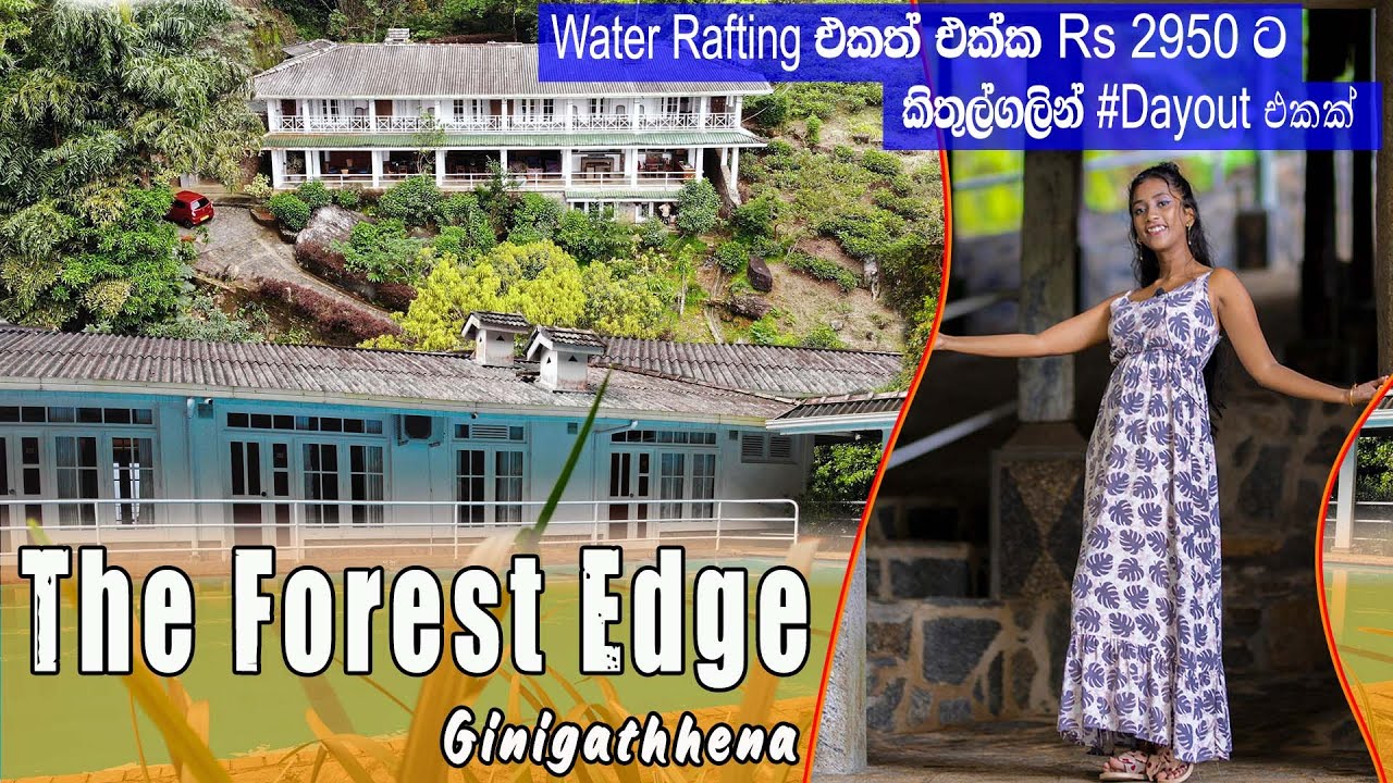 Best day outing & Honeymoon  place near to Kithulgala | Forest Edge Hotel - Ginigathhena