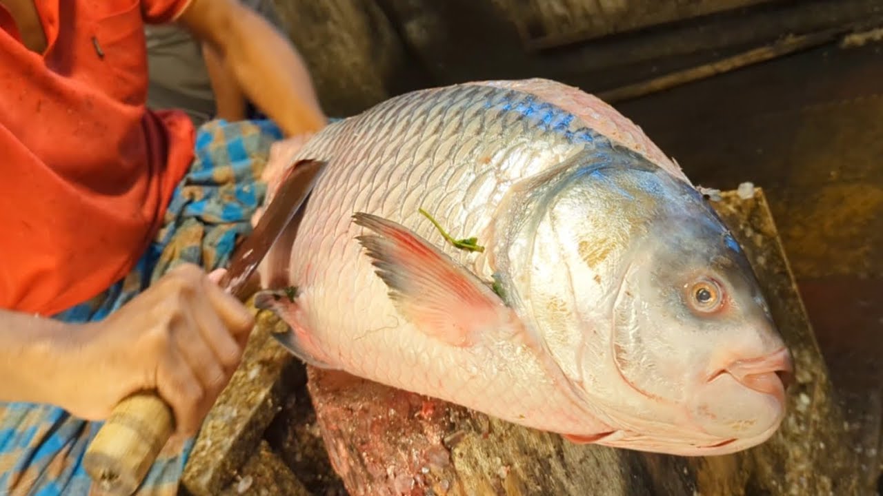 Amazing Giant Catla Carp Fish Cutting & Skinning Skills In Bangladesh Local Fish Market