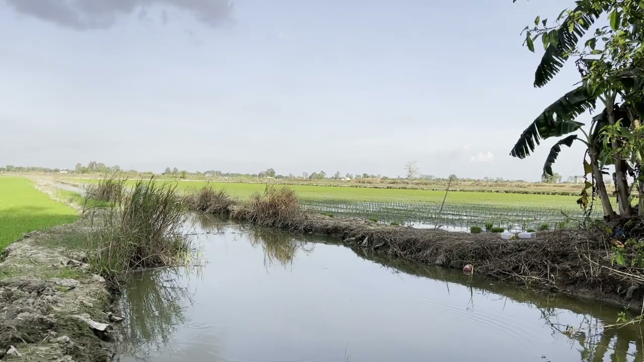 6-buông bỏ lo âu, ngừng suy nghĩ, ngắm cảnh/Let go of anxiety, stop overthinking and enjoy the view