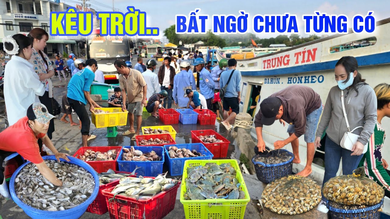 CỬA BIỂN BA HÒN MÙA ĐẸP NHẤT NĂM - BẤT NGỜ GIÁ HẢI SẢN CHƯA TỪNG CÓ