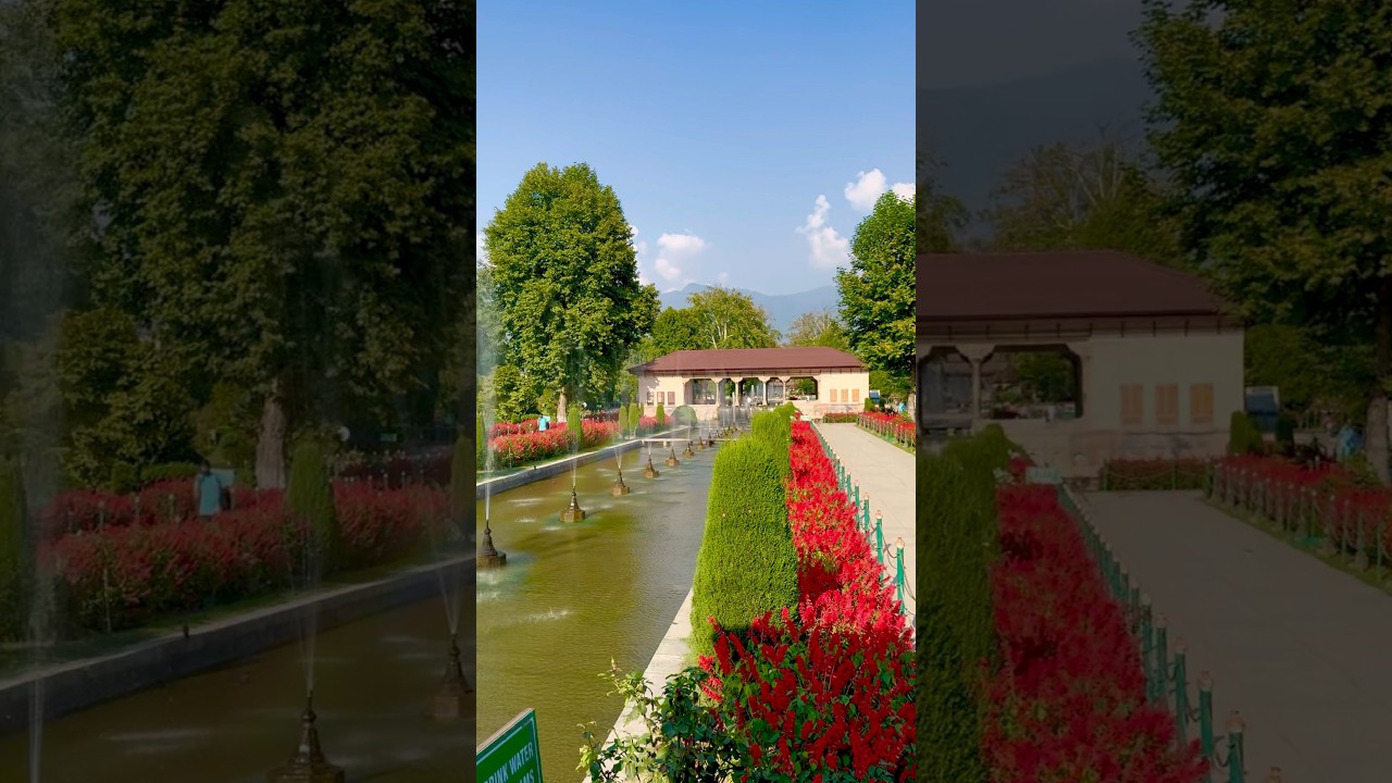 Shalimar Garden Srinagar Mughal Garden Beauty of Kashmir  #Srinagar #Kashmir #NatureBeauty #shorts