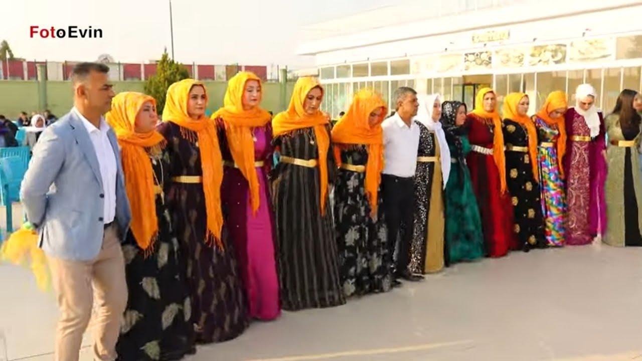 ŞEVKO HALAYI - KOMA WELAT 2022 BERGUHANA AŞİRETİ DÜĞÜNÜ