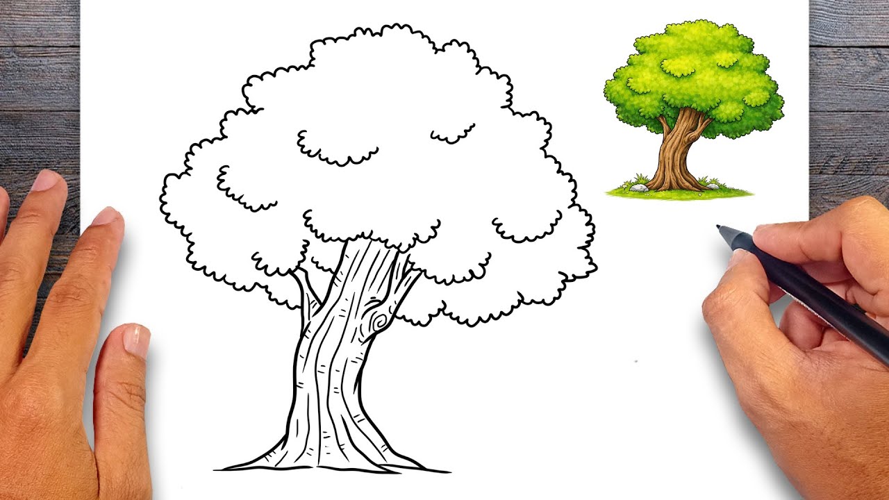 How to draw Oak Tree - Oak Tree Drawing Ideas
