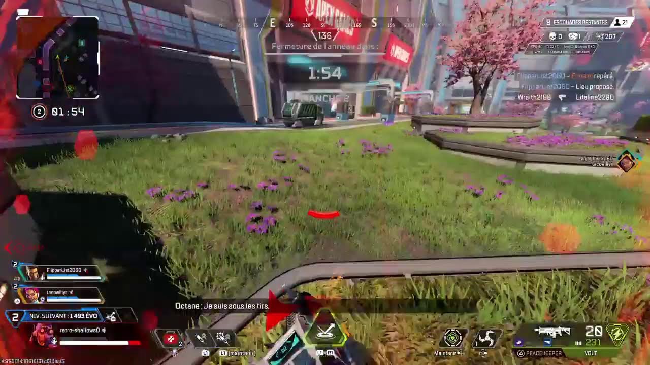 Apex
