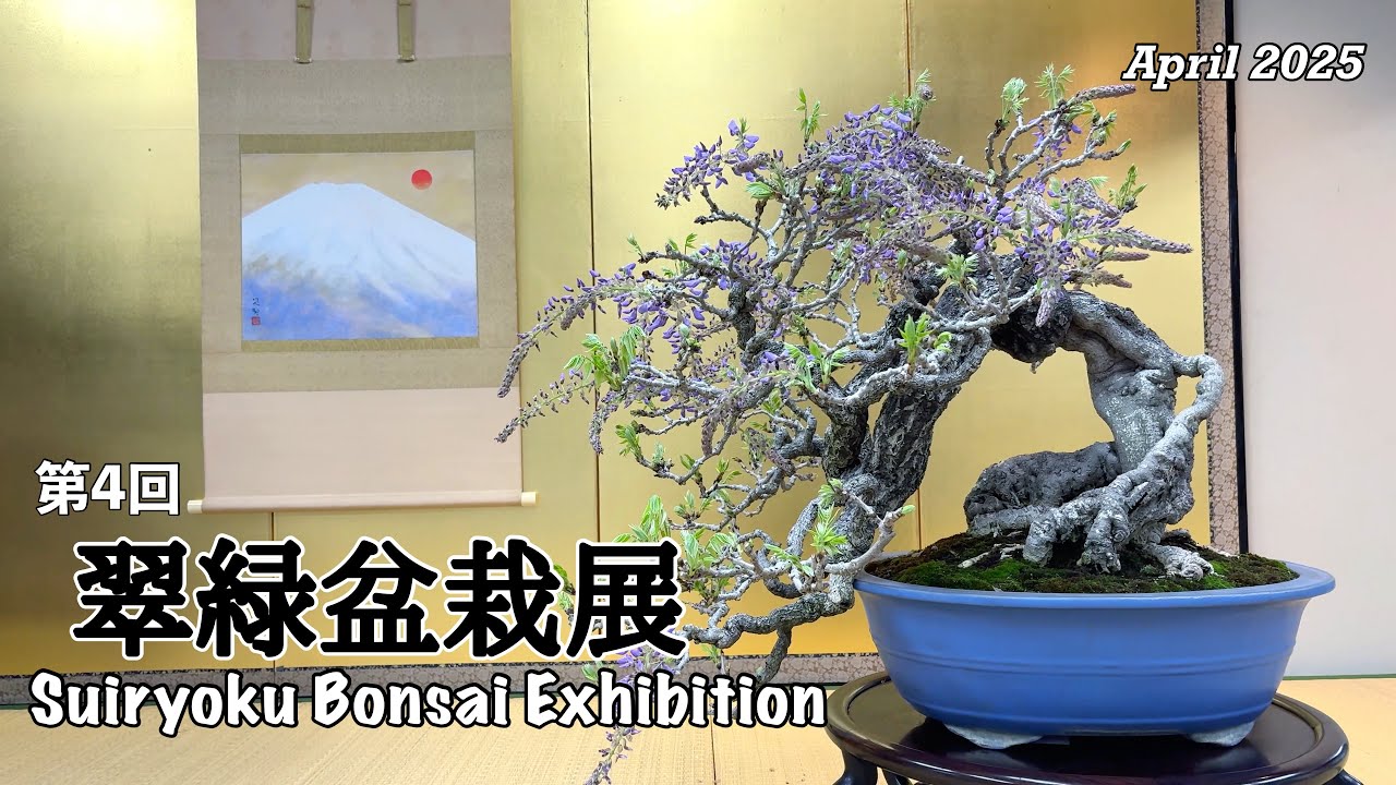 第４回 翠緑盆栽展／The 4th Suiryoku Bonsai Exhibition