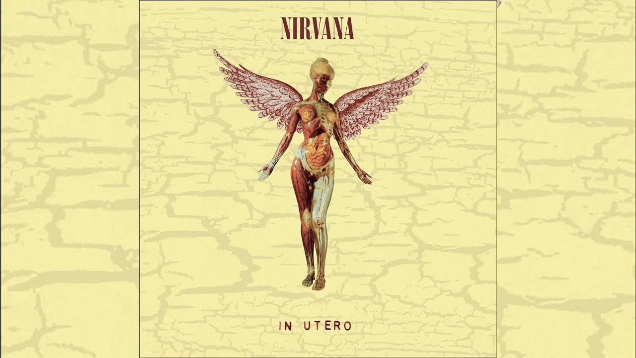 NIRVANA - Dumb #grungerock #inutero30