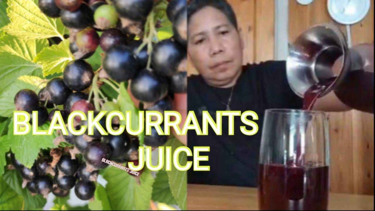 Black Currant Juice