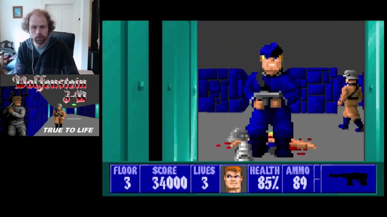 Wolfenstein 3D True to Life (DOS)