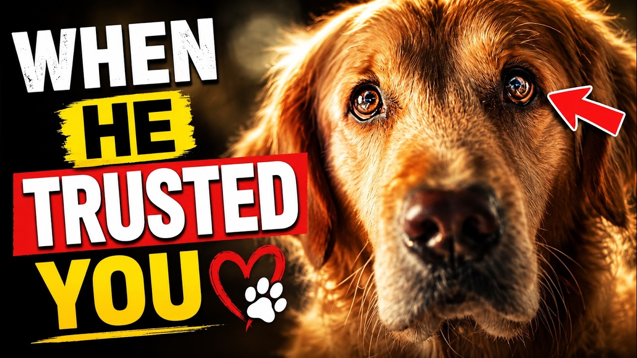 The Moment a DOG Decides YOU Are SAFE