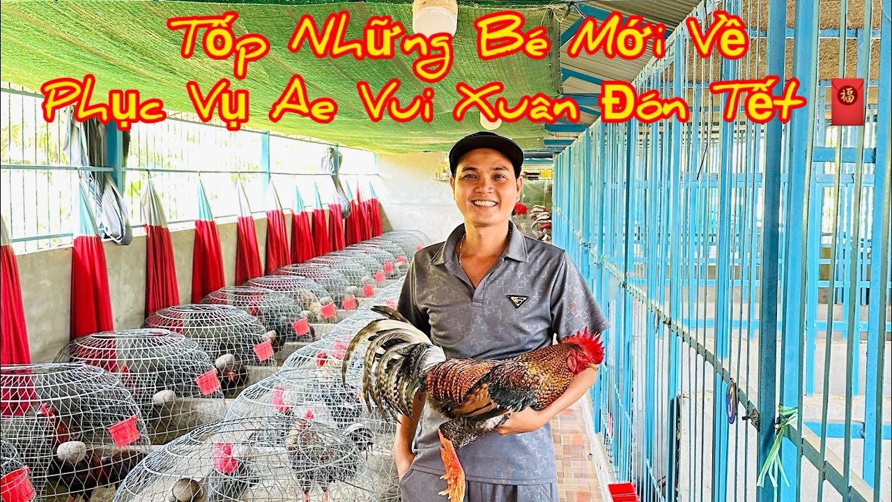 Tốp Những Bé 🐔 Mới Về Trại Phục Vụ Ae Nhảy 💃 Múa 🕺 Vui Xuân 