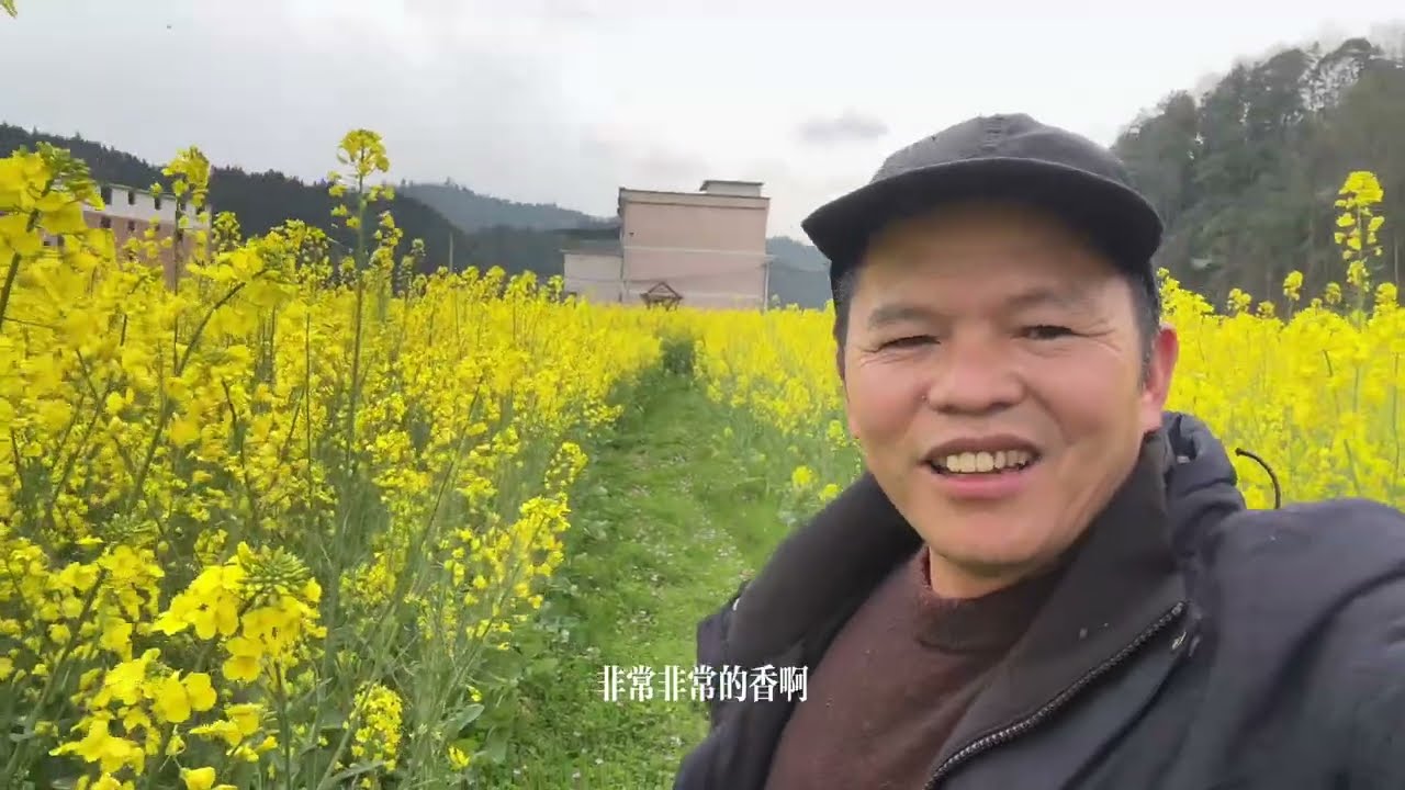 春天來了，茶山又要幹農活了。野外採摘野菜，收穫滿滿