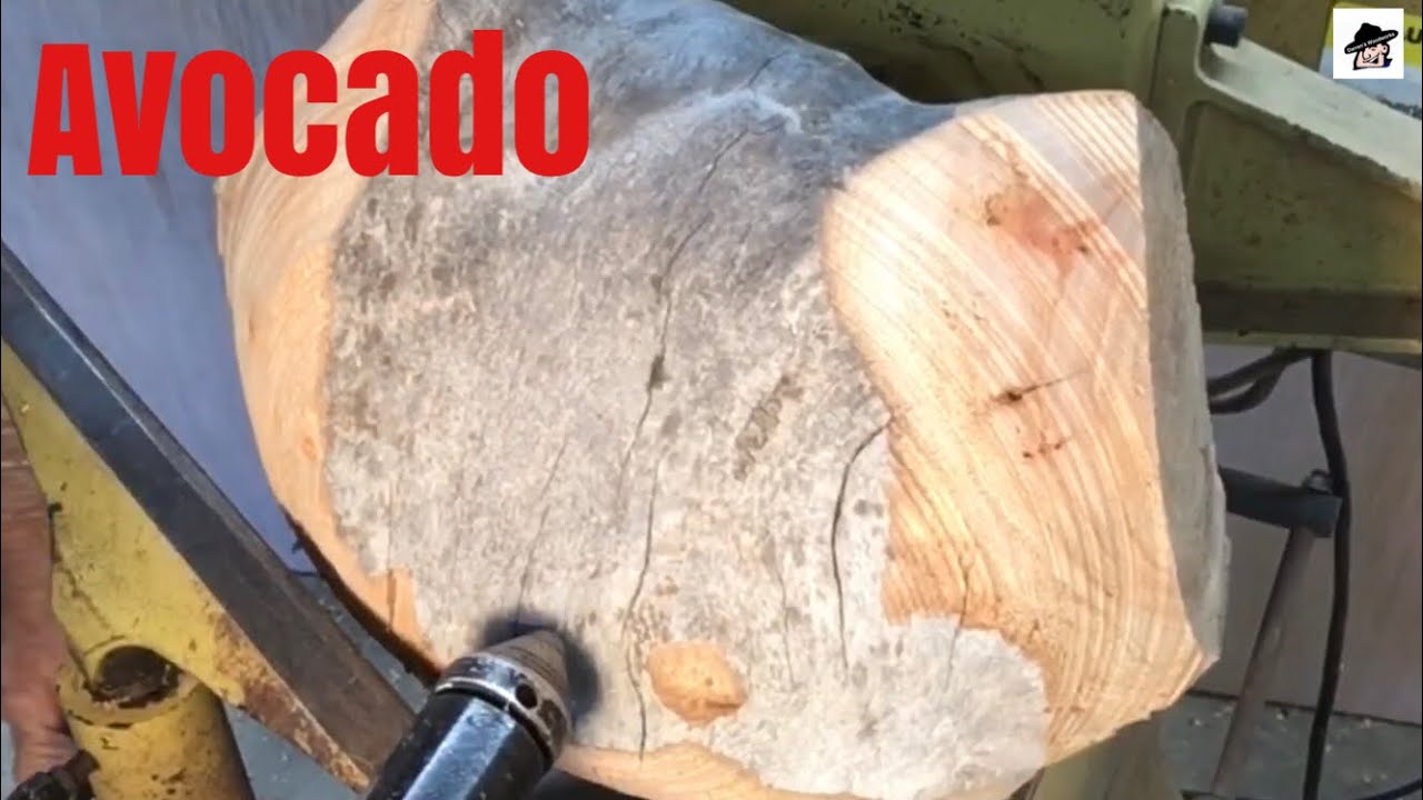Woodturning-Avocado crotch, Natural edge Bowl
