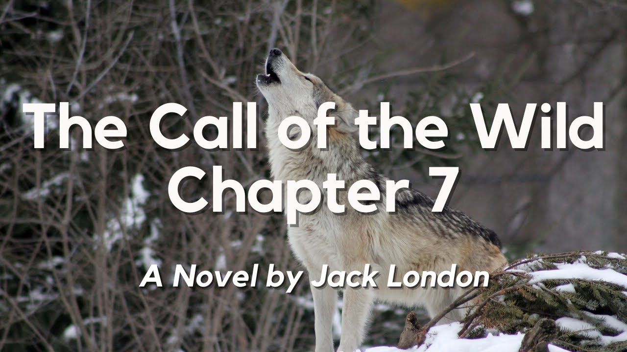 The Call of the Wild Chapter 7 by Jack London: English Audiobook with Text on Screen