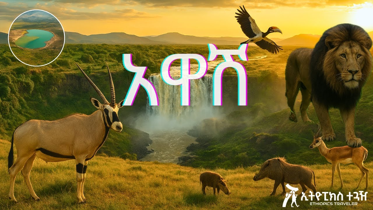 በቀዳማዊ ሀይለስላሴ የተመሰረተዉ ፤ አዋሽ | Exploring Awash National Park 