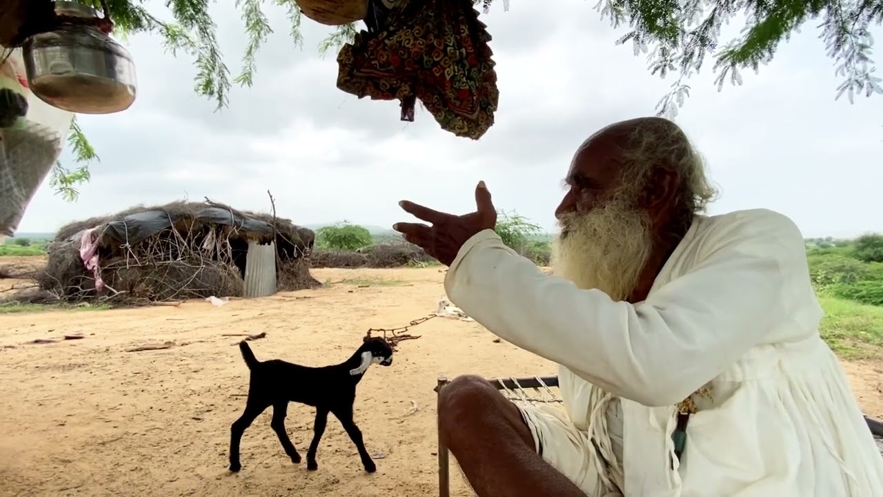 પધરોડ ના પાબુ દાદા સાત દીકરી પર એક દીકરો આપે ઈ ભલાઈ ભાર એના પરચા અપાર