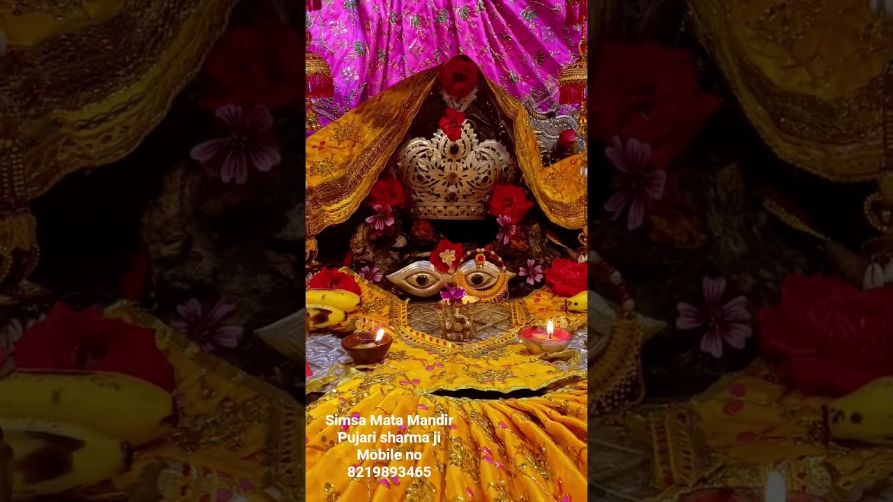 simsa Mata Mandir live darshan pujari sharma ji mobile no 8219893465