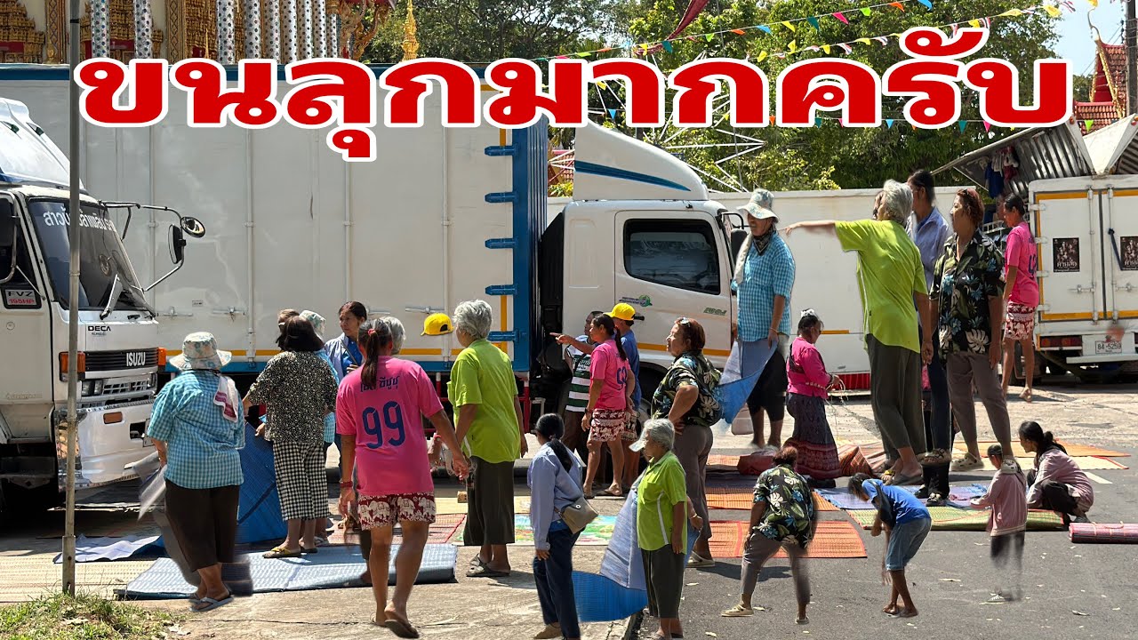 ถึงกับต้องแย่งกันเลยครับ#อุ๋งอิ๋งเพชรบ้านแพง 
