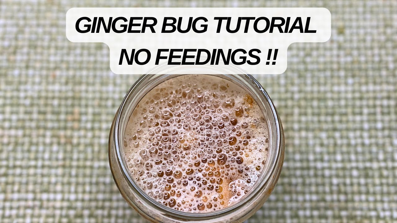 How to Make a Ginger Bug - No Feedings!
