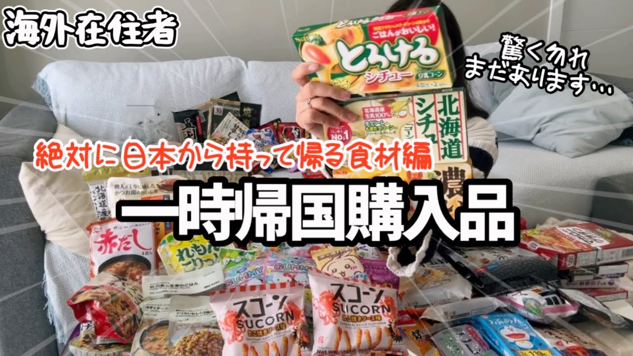 【爆買い】海外生活日本から絶対に持ってくるもの｜海外在住者が一時帰国で買うもの🛍️食材編🛒留学や移住の参考に