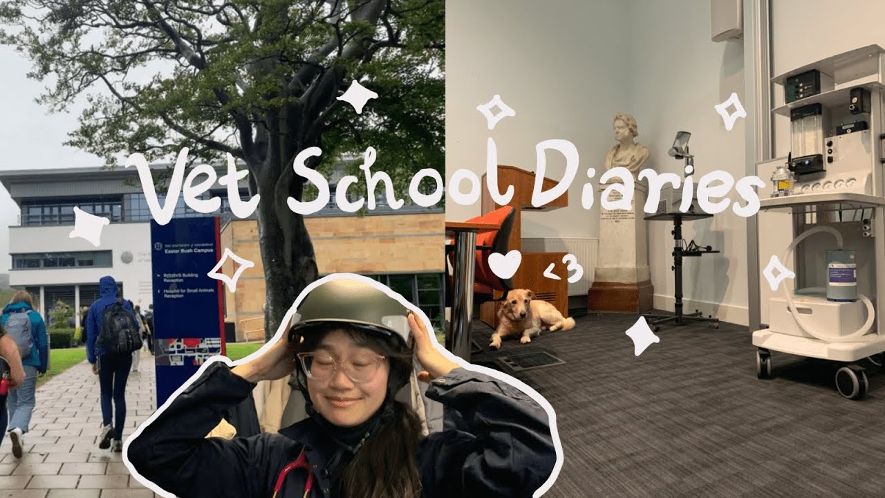 ✧˖ A week in the life of a vet student ✧˖| First week of my clinical year| Edinburgh U ʚ♡ɞ