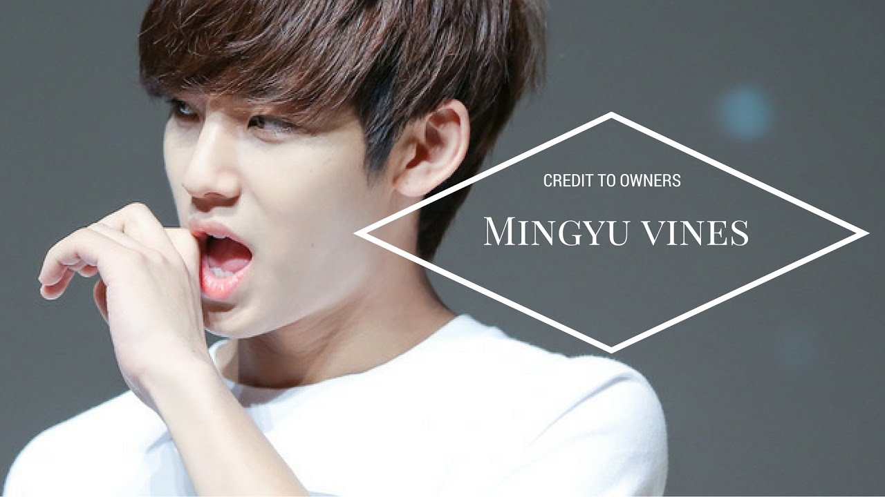 MINGYU VINES