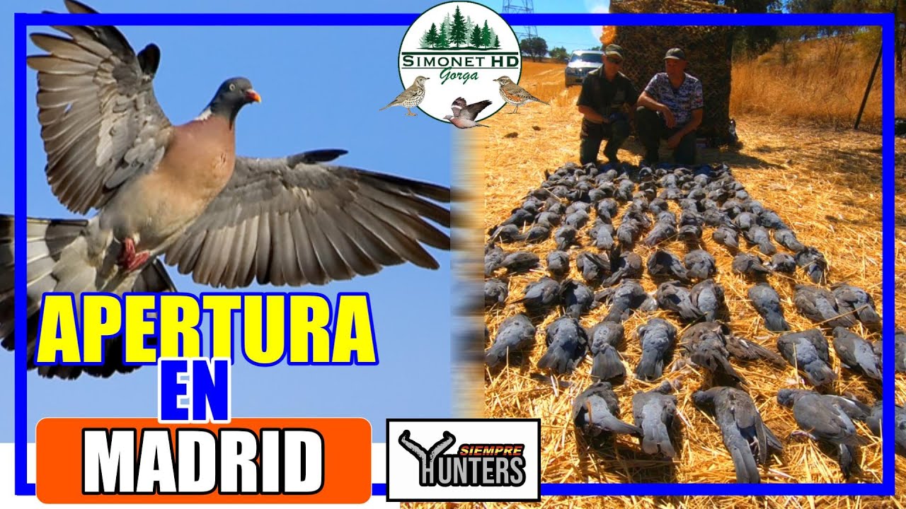 ➡️​ Apertura 𝐌𝐞𝐝𝐢𝐚 𝐕𝐞𝐝𝐚 | 🎥 | 𝐓𝐨𝐫𝐜𝐚𝐜𝐞𝐬 𝐚𝐥 𝐂𝐈𝐌𝐁𝐄𝐋 con SIEMPRE HUNTERS 🕊️