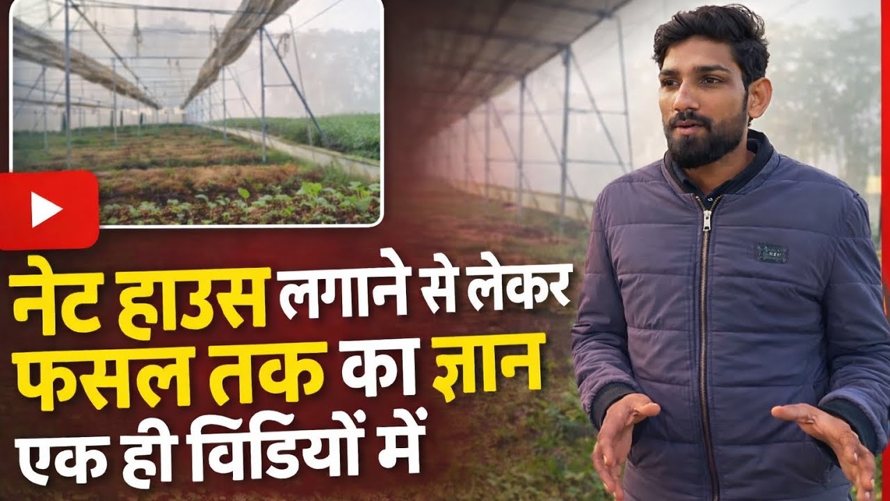 नेट हाउस लगाओ या नहीं? पूरा सच आज जान लो✌️✌️ क्या youtube पर है सच्ची बातें ?