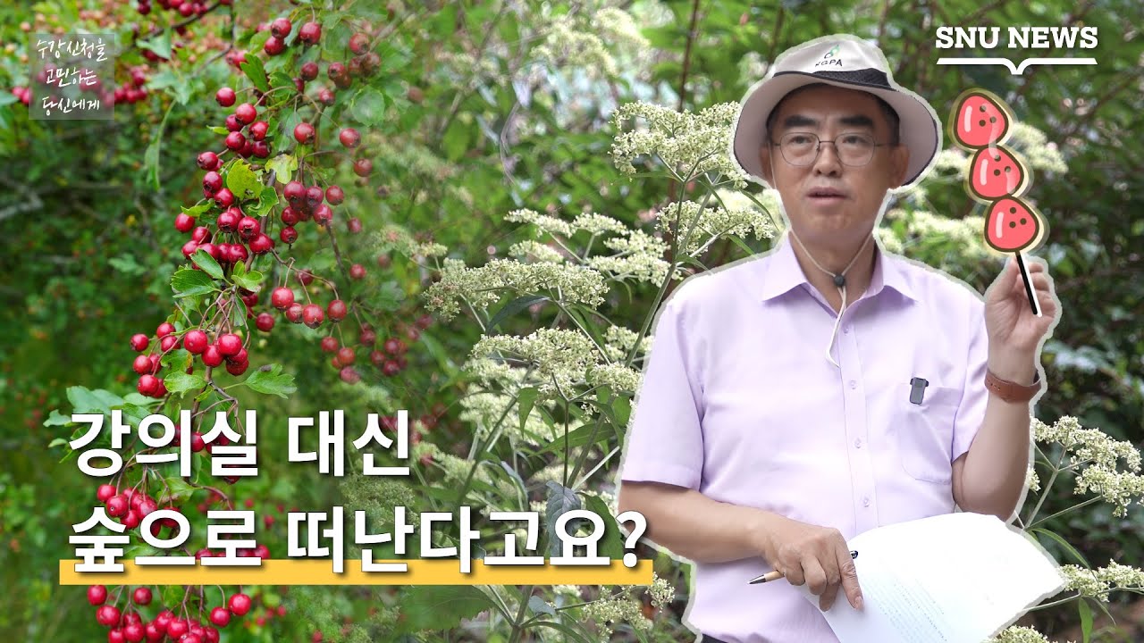 [수강신청을 고민하는 당신에게] 제4편 여러분을 숲으로 초대합니다🌲 (강규석 교수님편)