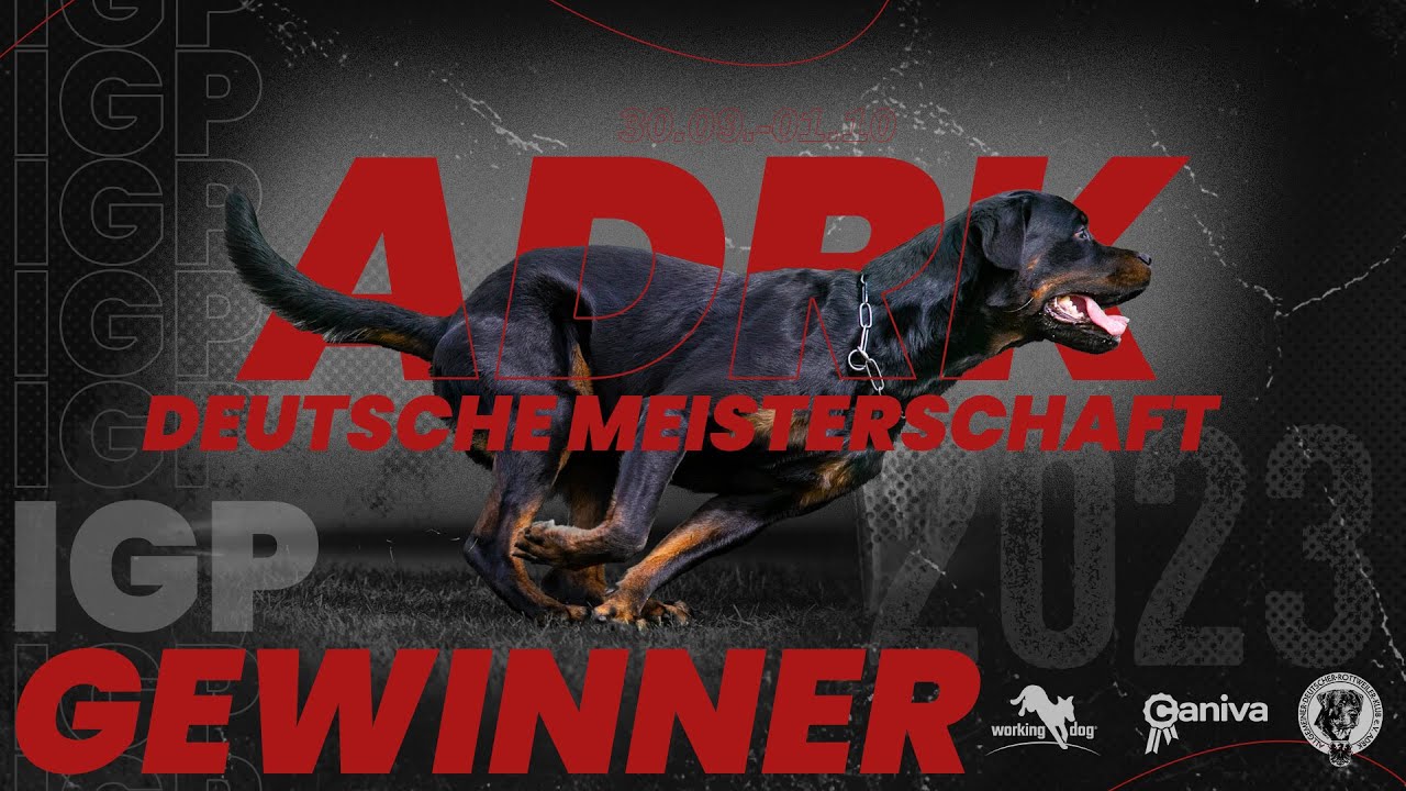 ADRK 71. Deutsche Meisterschaft 2023 // Winner // Working-Dog // Luis vom Eisernen Kreuz