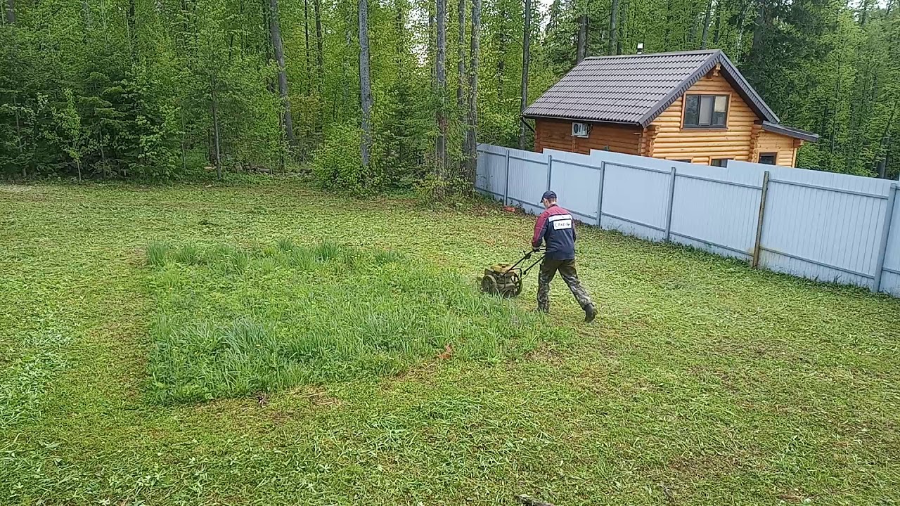 Колесный триммер чемпион.