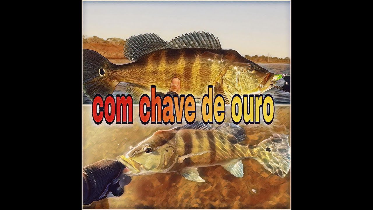 Ultimo dia de acampamento!!!
