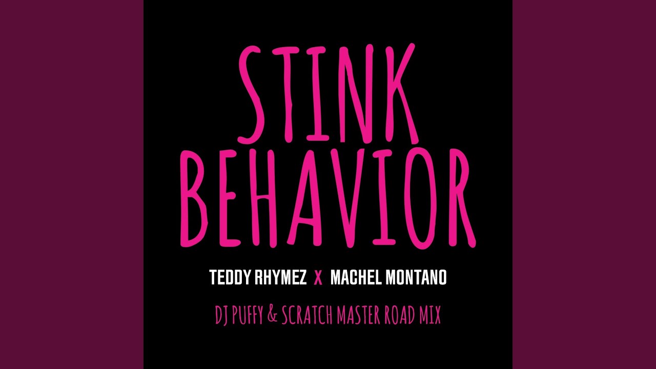 Stink Behavior (DJ Puffy & Scratch Master Road Mix)