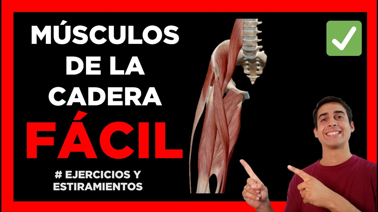✅ M&Uacute;SCULOS FLEXORES Y EXTENSORES de la CADERA (aprender F&Aacute;CIL)