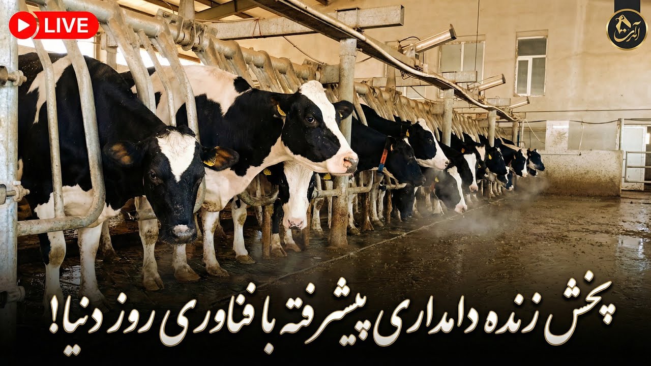دام درمانی ۲۴ درحال پخش است!