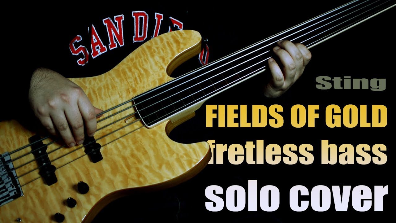 Fields Of Gold (Sting) - fretless bass solo cover - Sire V9 fretless chillout